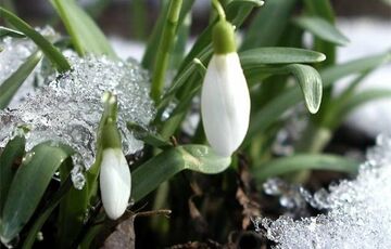 В Україну повертаються снігопади: синоптики попередили про погіршення погоди