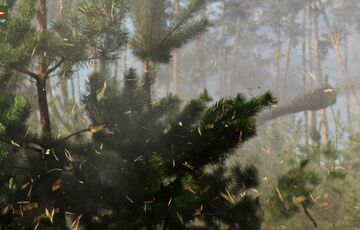 В разведке анонсируют ”значимые победы” до конца года