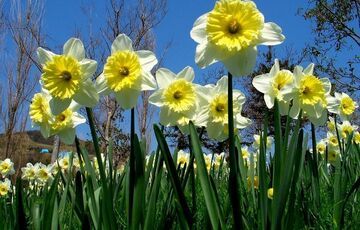 Прогноз погоди: чим порадує останній день квітня