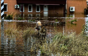 В Херсоне запретили посещать микрорайон Корабел и не только: полный список запретов 