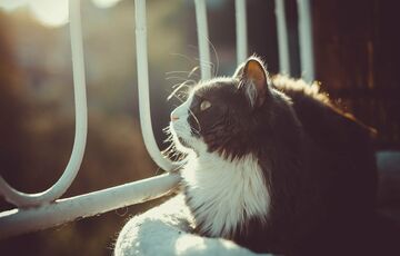 Синоптик сообщила, когда в Украину придет потепление