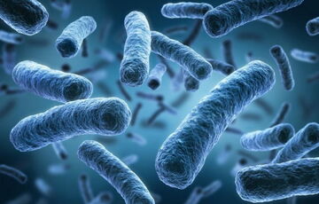 У Польщі ще одна людина померла від ”хвороби легіонерів”