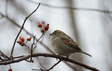 Прогноз погоды: где усилятся морозы