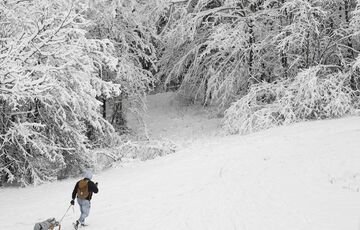 Прогноз погоди: де синоптики обіцяють снігопади