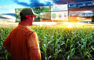 Как увеличить инвестиции в агросектор Украины: 5 действенных шагов 