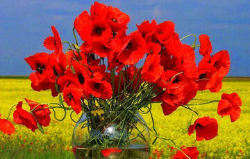 8 и 9 мая мы будем отмечать День памяти и примирения и День победы над нацизмом во Второй мировой войне