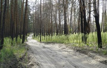 Прикордонники успішно атакували позиції окупантів у Серебрянському лісі
