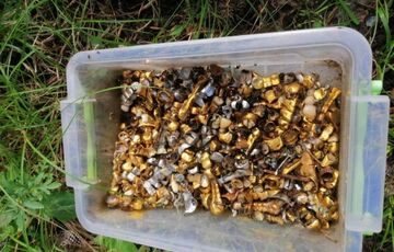 Коробку із золотими коронками, яка шокувала світ, окупанти вкрали у стоматолога