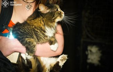 После российской атаки горел одесский зоопарк, есть погибшие животные