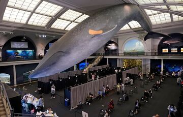 Жителям Нью-Йорка будут платить по 100 долларов за бустерную дозу