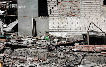 В Харьковской области растет число пострадавших при обстреле пригорода