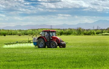 Посівні площі в Україні скоротилися на 25% Посівні площі в Україні скоротилися на 25%