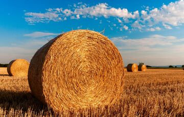 Спека відступає: прогноз погоди в Україні