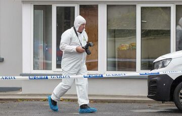 В Ирландии напали на маленькую украинку, у ребенка 74 ножевых ранения