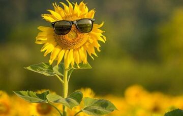 Прогноз погоди в Україні: коли вщухнуть грози