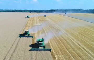 Украина собрала меньший урожай зерновых