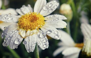 Прогноз погоди: в Україну повертаються грози