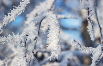 Температурний прогноз: де в Україні очікуються заморозки