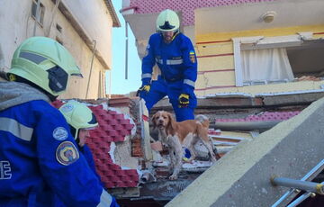 Українські рятувальники показали свою роботу у Туреччині (фото)