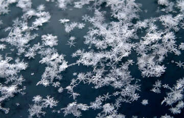 Снежный прогноз: в какие регионы Украины ворвется зима Снежный прогноз: в какие регионы Украины ворвется зима