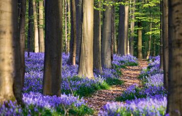 Теплий прогноз: погода в Україні 12 квітня