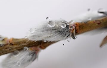 Дощі залишилися позаду: прогноз погоди в Україні