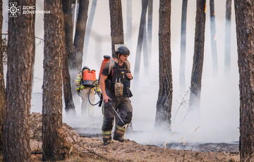 Вогнеборці локалізували масштабну лісову пожежу в Донецькій та Харківській області: знищено 302 будинки