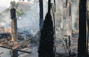 Шер і Дік Ван Дайк втекли зі своїх будинків через лісові пожежі в Каліфорнії