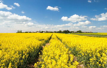 Вихідні у червні та календар церковних свят