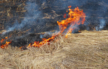 Рятувальники попередили про пожежну небезпеку і піднятті води в річках - ГСЧС Рятувальники попередили про пожежну небезпеку і піднятті води в річках - ГСЧС