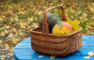 Осень придет с теплом: синоптики сделали прогноз на сентябрь Осень придет с теплом: синоптики сделали прогноз на сентябрь