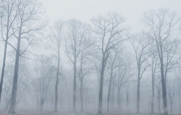 Морози відступають: де в Україні сьогодні буде найтепліше