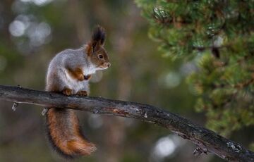 Прогноз для України: де синоптики обіцяють сонячну погоду