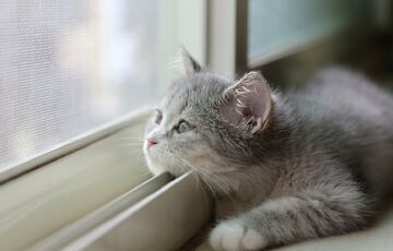 В Україну прийшло потепління: прогноз погоди на 21 лютого