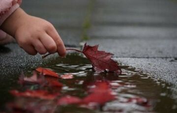 Погода в Україні: де синоптики обіцяють дощі