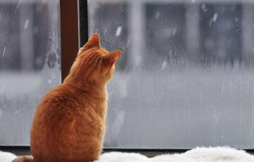 Погода в Україні: потепління прийде разом з сильними дощами