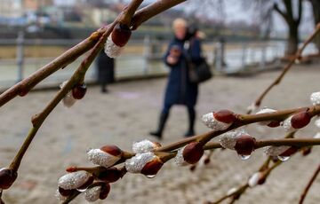 Дощі повертаються: прогноз погоди в Україні