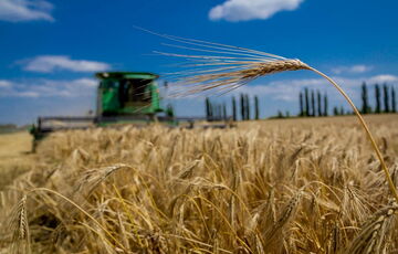 Україна опинилася серед головних постачальників агропродукції в ЄС Україна опинилася серед головних постачальників агропродукції в ЄС