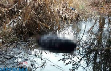 В Харькове после спора мужчина убил своего собеседника и выбросил его тело под мост  В Харькове после спора мужчина убил своего собеседника и выбросил его тело под мост