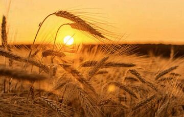 Погода в Україні: температура поступово знижується