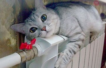 ”Нафтогаз” объявил о старте отопительного сезона во всей Украине