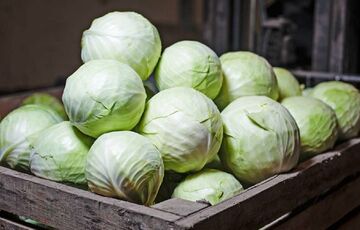 В Украине дорожает капуста: названа причина