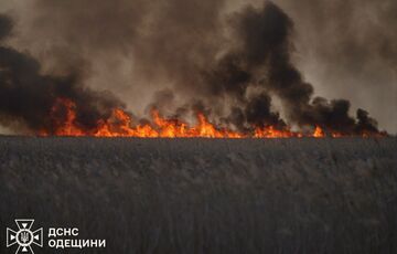 Масштабный степной пожар в Одесской области добрался до национального парка: кадры Масштабный степной пожар в Одесской области добрался до национального парка: кадры