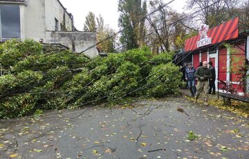 Ураган в Киеве: местные власти отчитались о последствиях