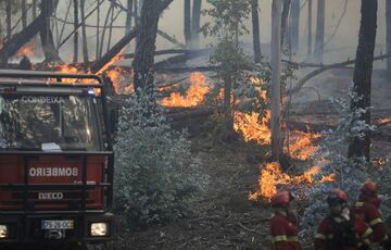У Португалії спалахнули масштабні лісові пожежі У Португалії спалахнули масштабні лісові пожежі