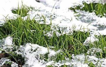 Снег, ветер и гололед: погода в нескольких областях Украины снова ухудшится