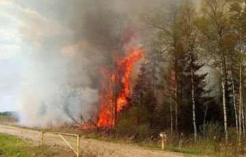 В Естонії спалахнула масштабна пожежа на військовому полігоні В Естонії спалахнула масштабна пожежа на військовому полігоні