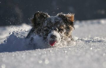 На зміну снігопадам прийшли морози: прогноз погоди в Україні