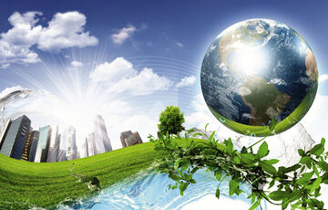 Экономика окружающей среды: какие существуют ограничения