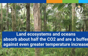 Концентрація вуглекислого газу досягла рекордних показників у 2020 році - звіт ООН